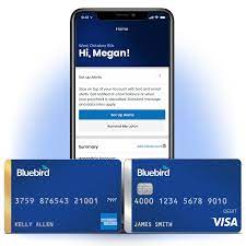 Buy Verified Bluebird Accounts